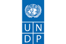 undp logo